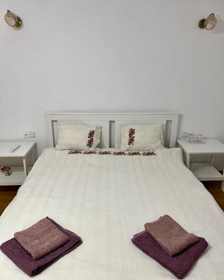 Sfodea Casuta De La Munte酒店 外观 照片